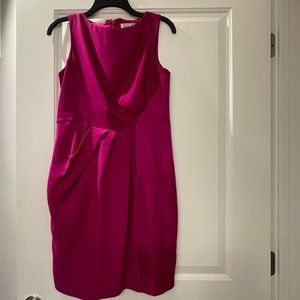 Fuchsia Dress